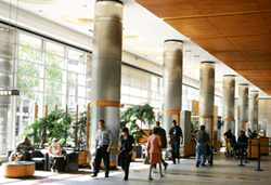New York University building