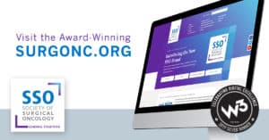 W3 Silver award for SSO website